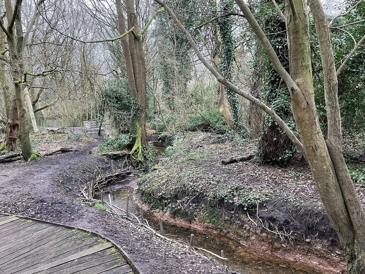 Moseley Bog nature reserve